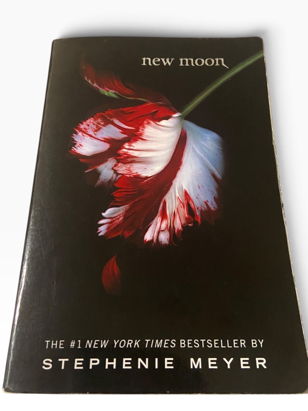 New Moon (Twilight Saga) Book by Stephenie Meyer